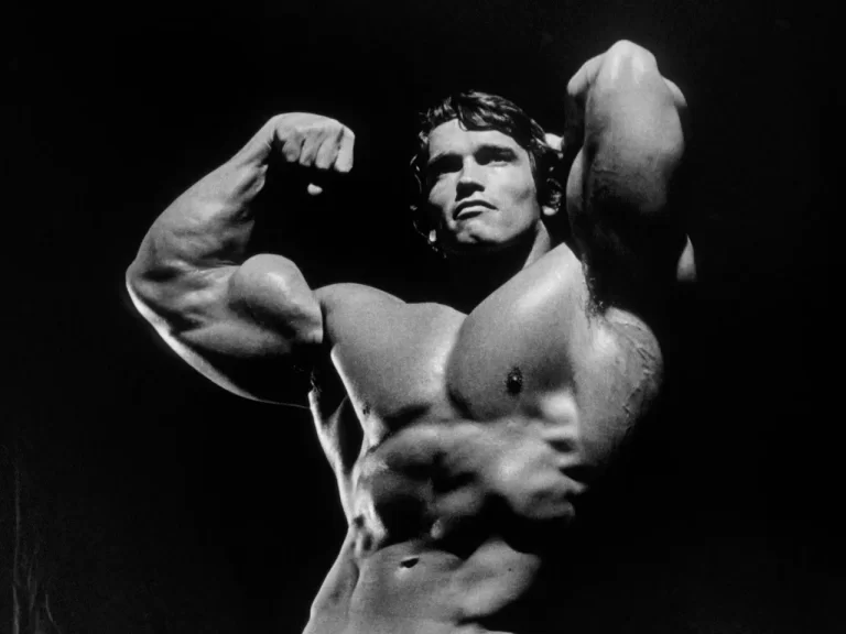 Picture main Arnold